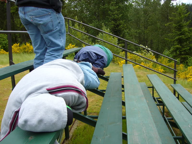 Name:  Pictures283.jpg
Views: 12
Size:  124.5 KB