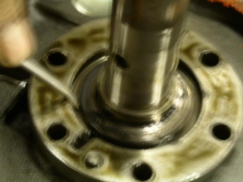 Name:  PICT8683.jpg
Views: 261
Size:  44.4 KB