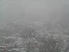 Snowing Again-snow.jpg