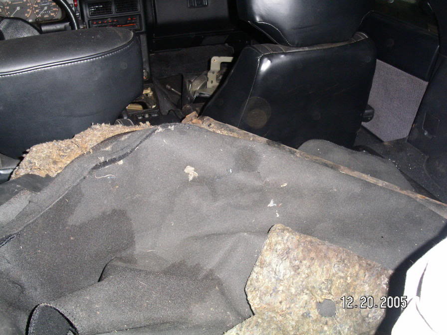 Name:  PICT8051.jpg
Views: 14
Size:  86.3 KB