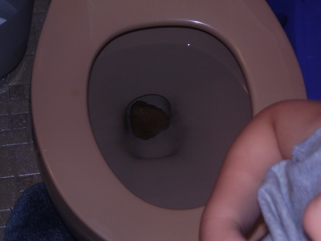 Name:  P7250404.jpg
Views: 20
Size:  53.8 KB