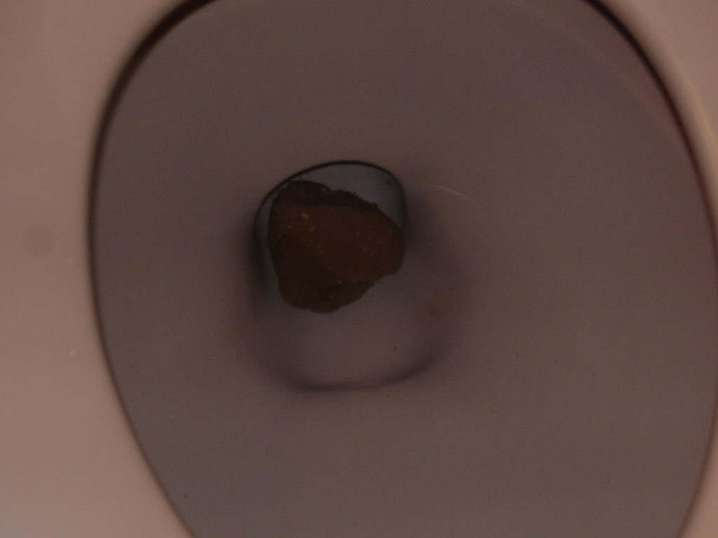 Name:  P7250402.jpg
Views: 21
Size:  43.1 KB