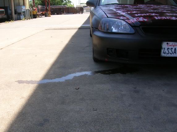 Name:  DSCN0313.jpg
Views: 15
Size:  36.0 KB