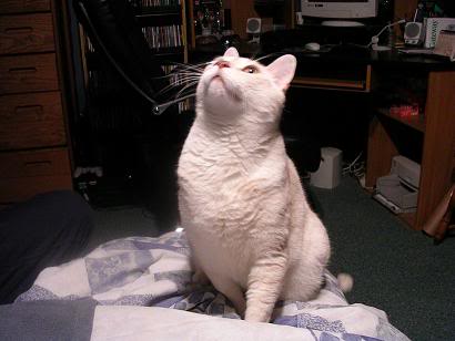 Name:  DSCN0305a.jpg
Views: 14
Size:  18.8 KB