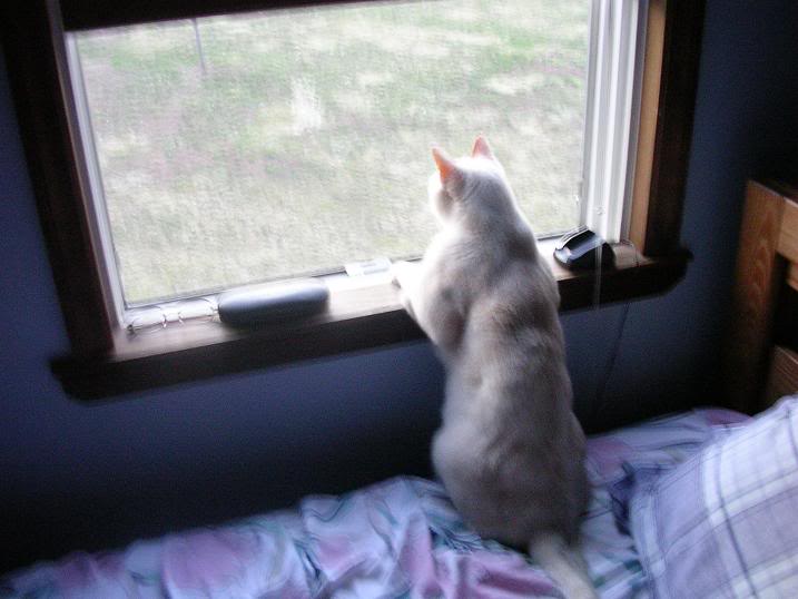 Name:  DSCN0282a.jpg
Views: 20
Size:  41.8 KB