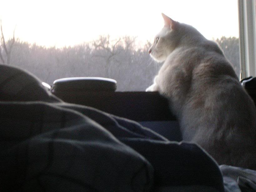 Name:  DSCN0278a.jpg
Views: 19
Size:  42.3 KB