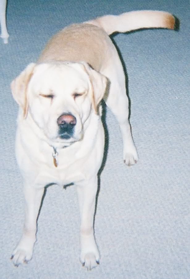 Name:  cid.jpg
Views: 18
Size:  59.7 KB