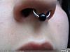 Should I Get My Bridge Peirced?-septum.jpg