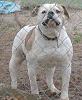 Digital Camera For Sale-beulah.jpg