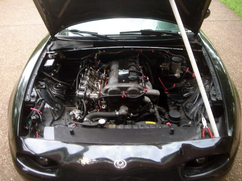 Name:  DSC03627.jpg
Views: 28
Size:  86.8 KB