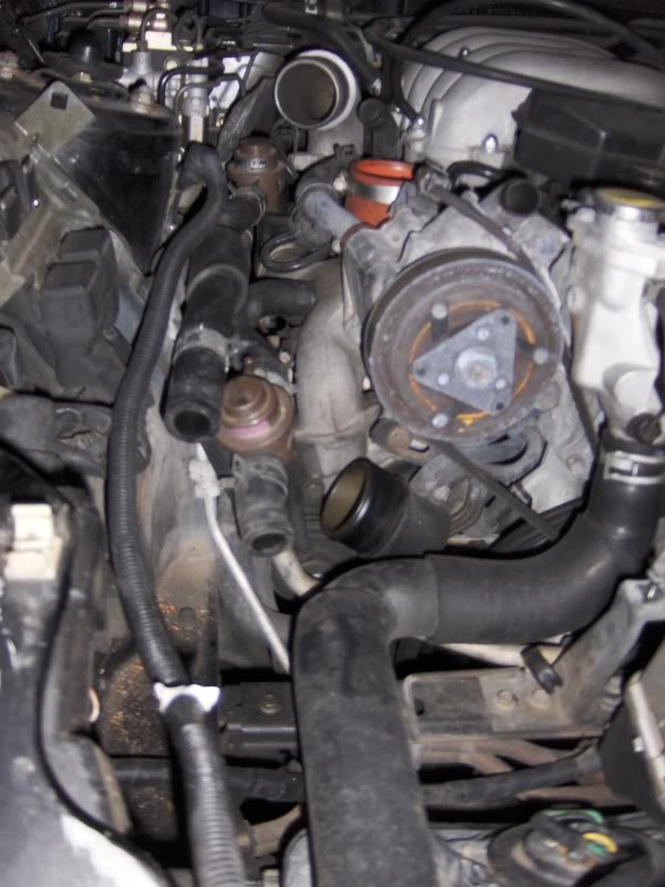 Name:  misc004.jpg
Views: 12
Size:  69.5 KB