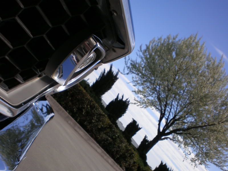 Name:  P9090013.jpg
Views: 31
Size:  74.5 KB