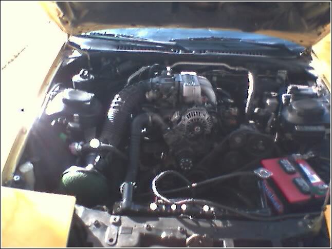 Name:  161631225989_3300.jpg
Views: 21
Size:  51.3 KB