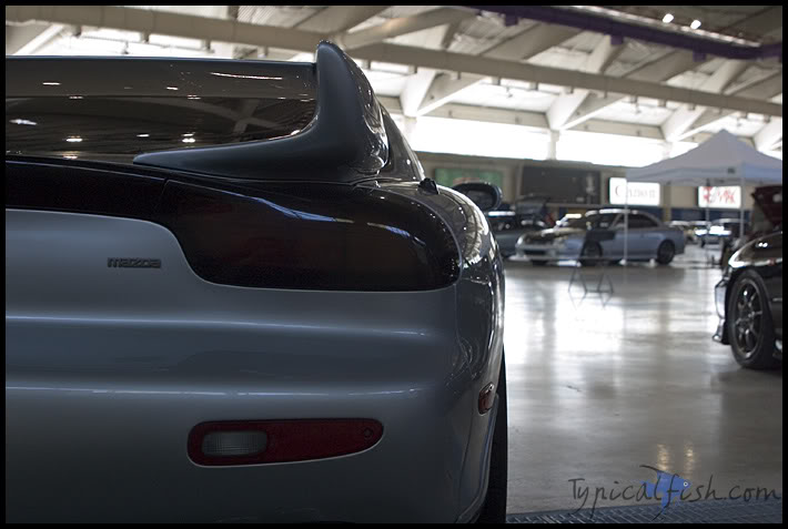 Name:  DTP05_017.jpg
Views: 20
Size:  50.8 KB