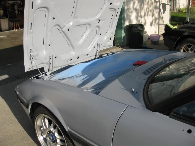 Name:  gregandiotus019.jpg
Views: 30
Size:  77.3 KB