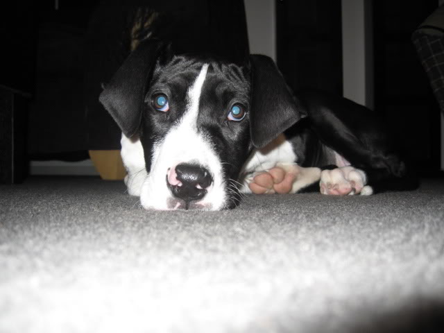 Name:  IMG_1723.jpg
Views: 20
Size:  36.6 KB