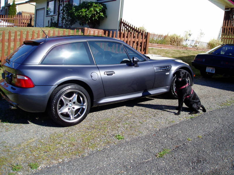 Name:  P1010125.jpg
Views: 25
Size:  102.2 KB