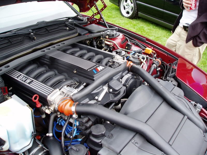 Name:  P1010074-1.jpg
Views: 17
Size:  100.7 KB