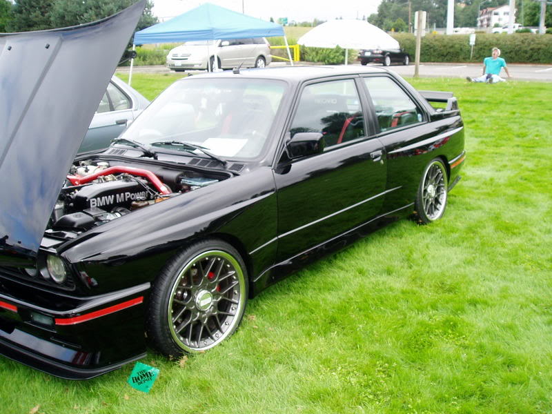 Name:  P1010094.jpg
Views: 16
Size:  94.9 KB