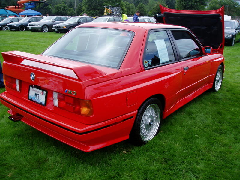 Name:  P1010095.jpg
Views: 15
Size:  95.0 KB