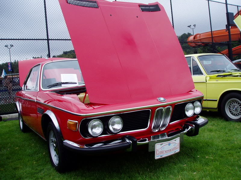 Name:  P1010054-1.jpg
Views: 18
Size:  87.7 KB