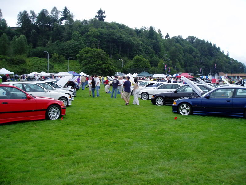 Name:  P1010027.jpg
Views: 17
Size:  90.6 KB