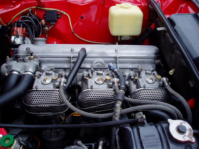 Name:  P1010056-1.jpg
Views: 18
Size:  97.5 KB