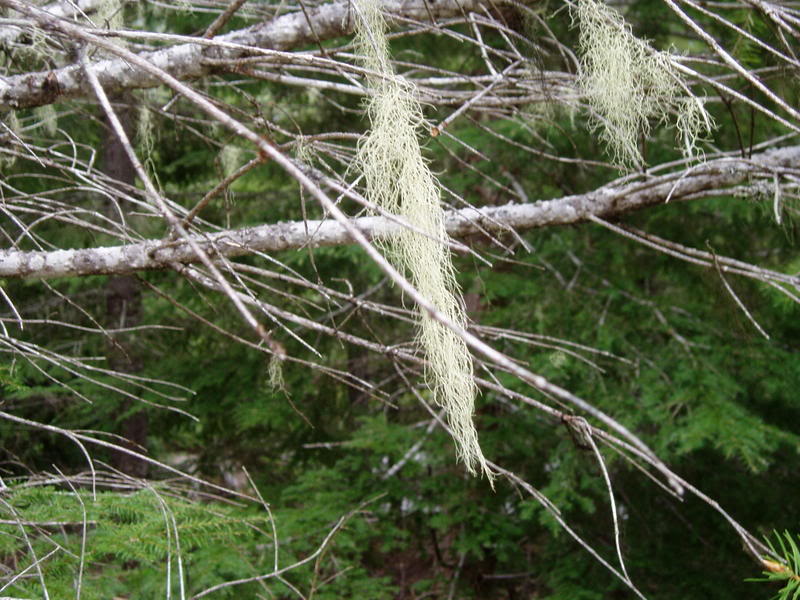 Name:  P1010619.jpg
Views: 22
Size:  104.4 KB