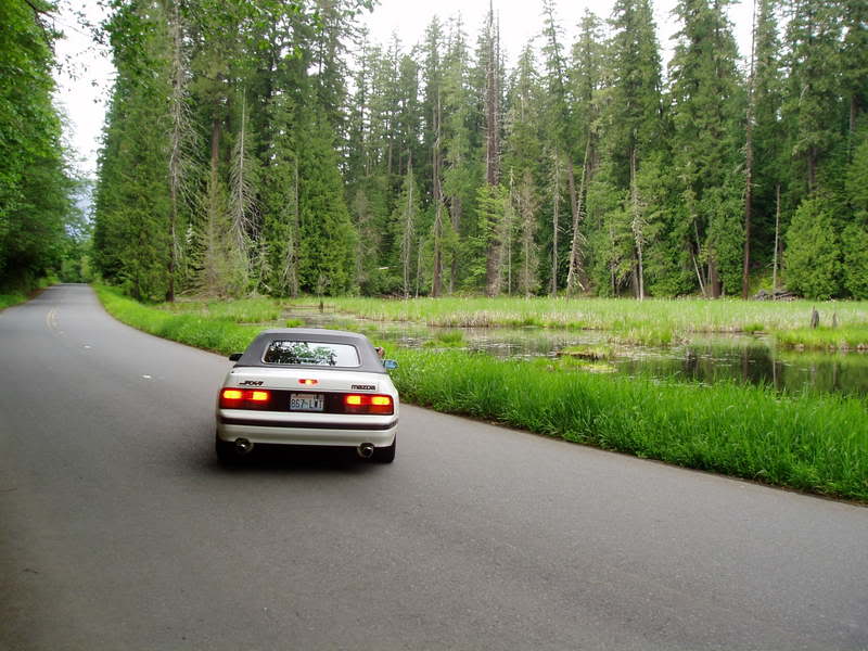 Name:  P1010663.jpg
Views: 26
Size:  82.4 KB