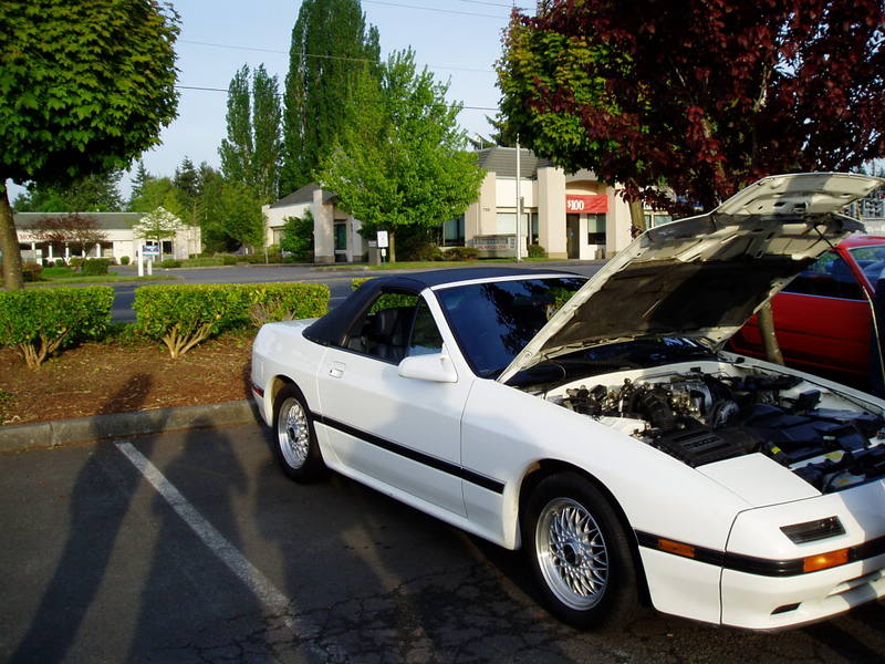 Name:  P1010520.jpg
Views: 23
Size:  101.2 KB