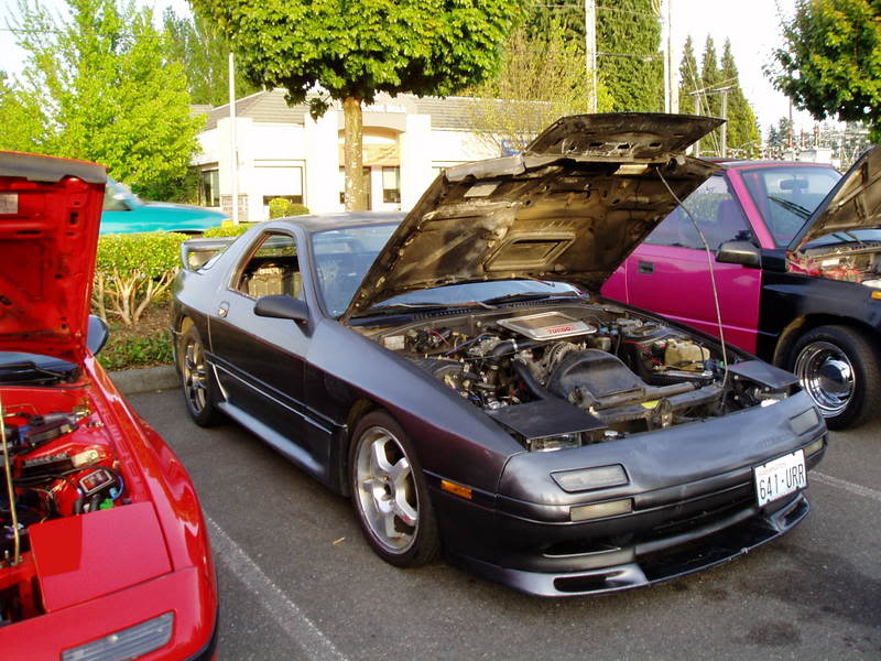 Name:  P1010526.jpg
Views: 18
Size:  104.5 KB