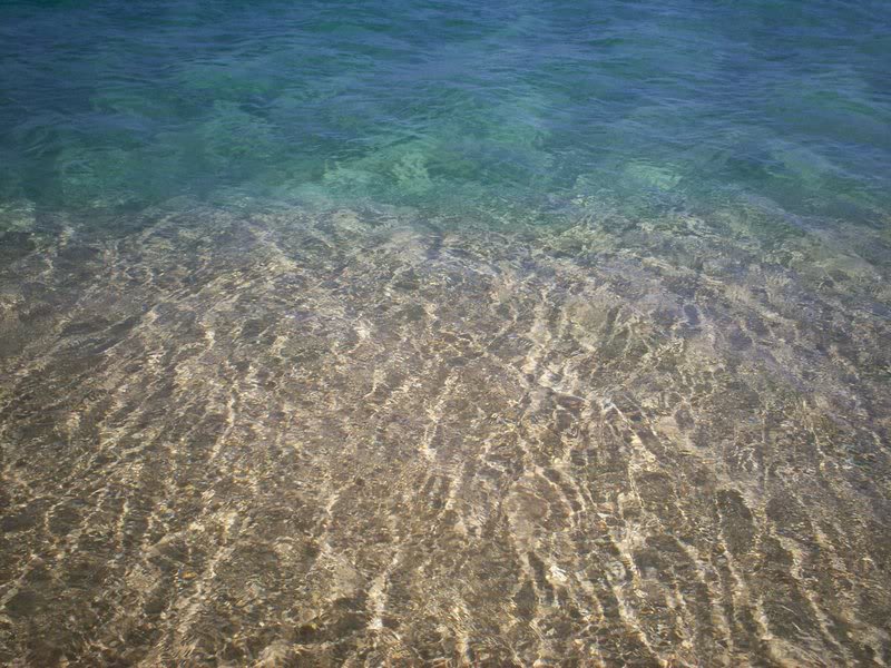 Name:  100_0140.jpg
Views: 20
Size:  122.0 KB