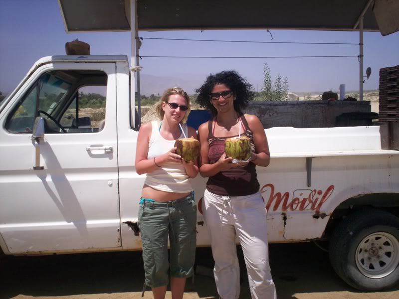 Name:  100_0239.jpg
Views: 19
Size:  73.8 KB