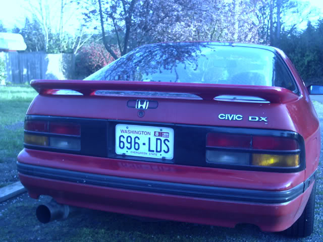 Name:  newwing3.jpg
Views: 11
Size:  66.1 KB