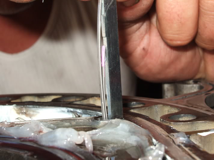 Name:  DSCF2030.jpg
Views: 18
Size:  44.4 KB