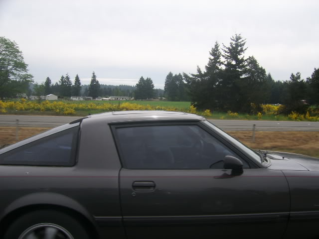 Name:  SSA50519.jpg
Views: 48
Size:  73.9 KB