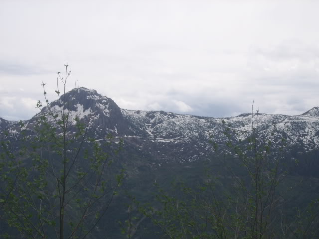 Name:  SSA50540.jpg
Views: 43
Size:  74.9 KB