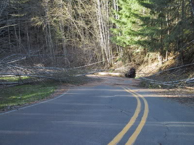 Name:  IMG_00762.jpg
Views: 22
Size:  37.5 KB