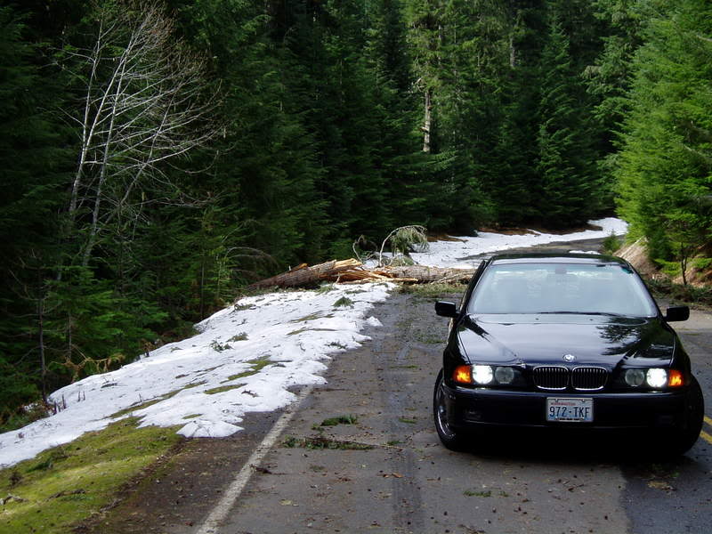 Name:  P1010497.jpg
Views: 19
Size:  88.9 KB