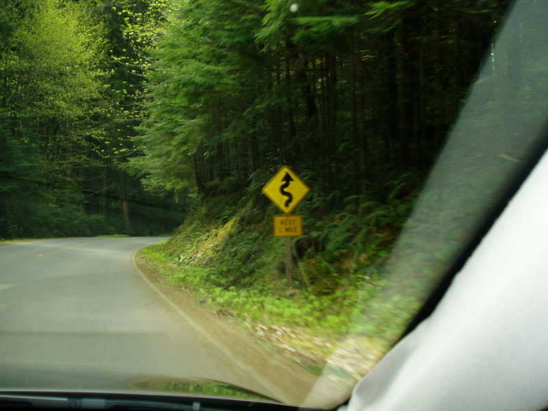 Name:  P1010504.jpg
Views: 19
Size:  67.4 KB