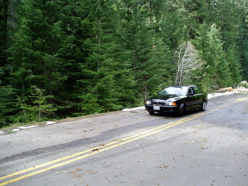 Name:  P1010496.jpg
Views: 19
Size:  87.4 KB