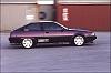 For those wondering what the hell a cordia is...-purplecordia.jpg