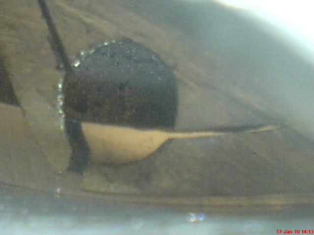 Name:  DSC00681.jpg
Views: 300
Size:  26.6 KB