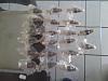 new 1600cc injectors low impedance new-inejee.jpg