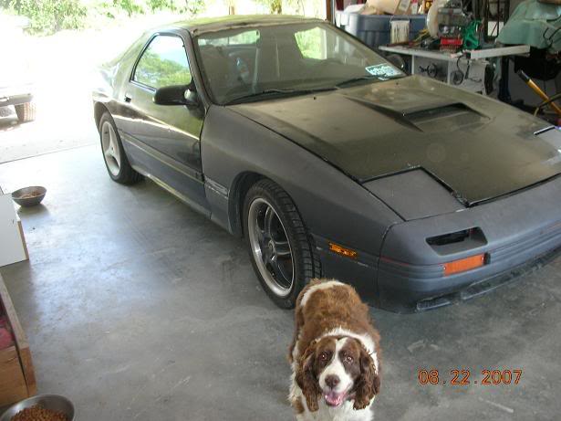 Name:  car2-1.jpg
Views: 41
Size:  39.6 KB