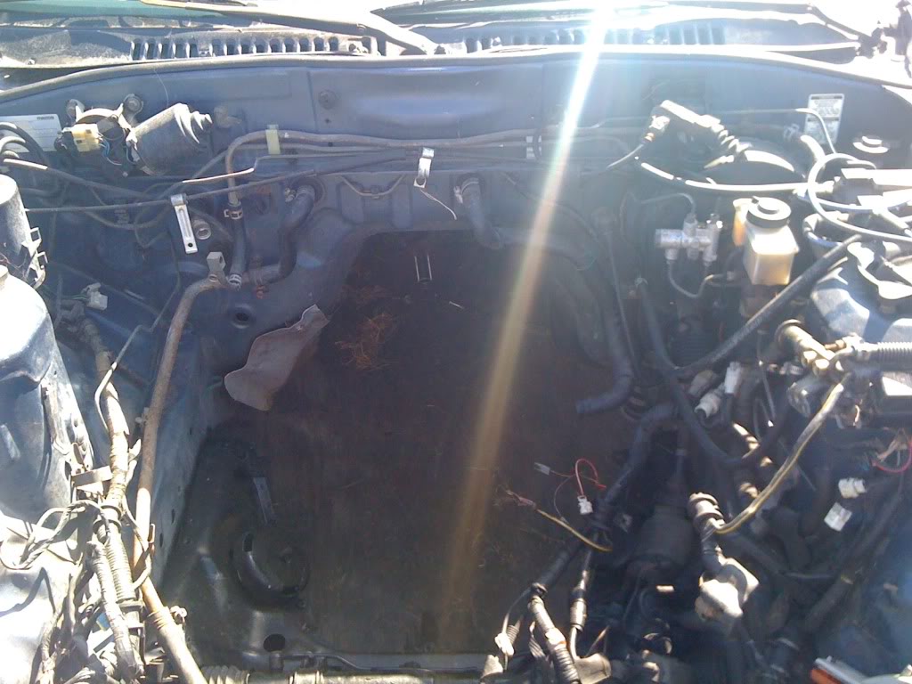 Name:  IMG_0538.jpg
Views: 18
Size:  114.4 KB