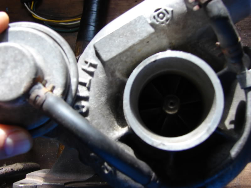 Name:  DSC00806.jpg
Views: 16
Size:  51.8 KB