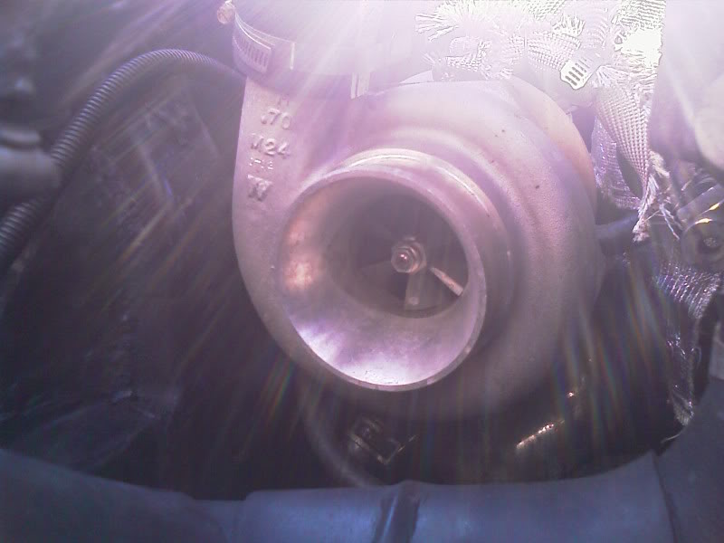 Name:  IMAG0071.jpg
Views: 44
Size:  47.1 KB