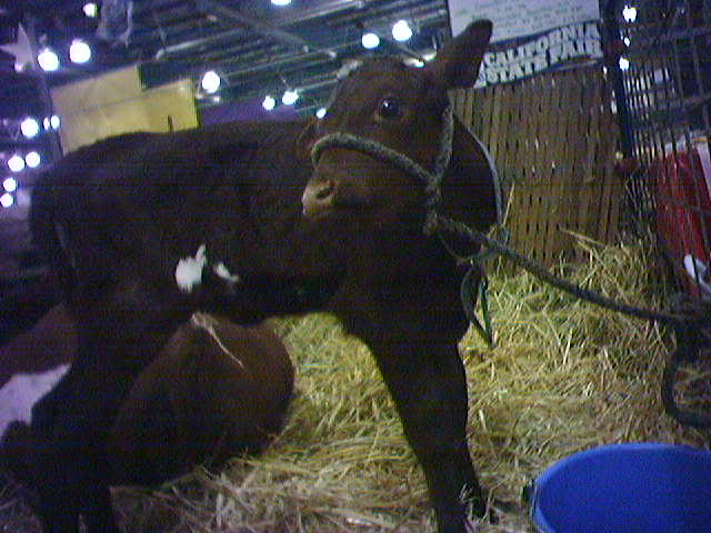 Name:  attach_photo.jpg
Views: 26
Size:  44.3 KB