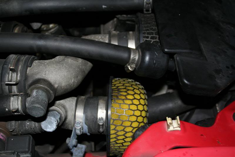 Name:  IMG_2329Medium.jpg
Views: 23
Size:  44.2 KB